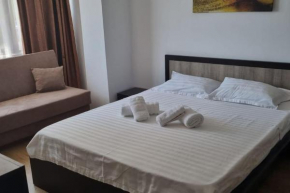 Studio Sat Vacanta Free parking